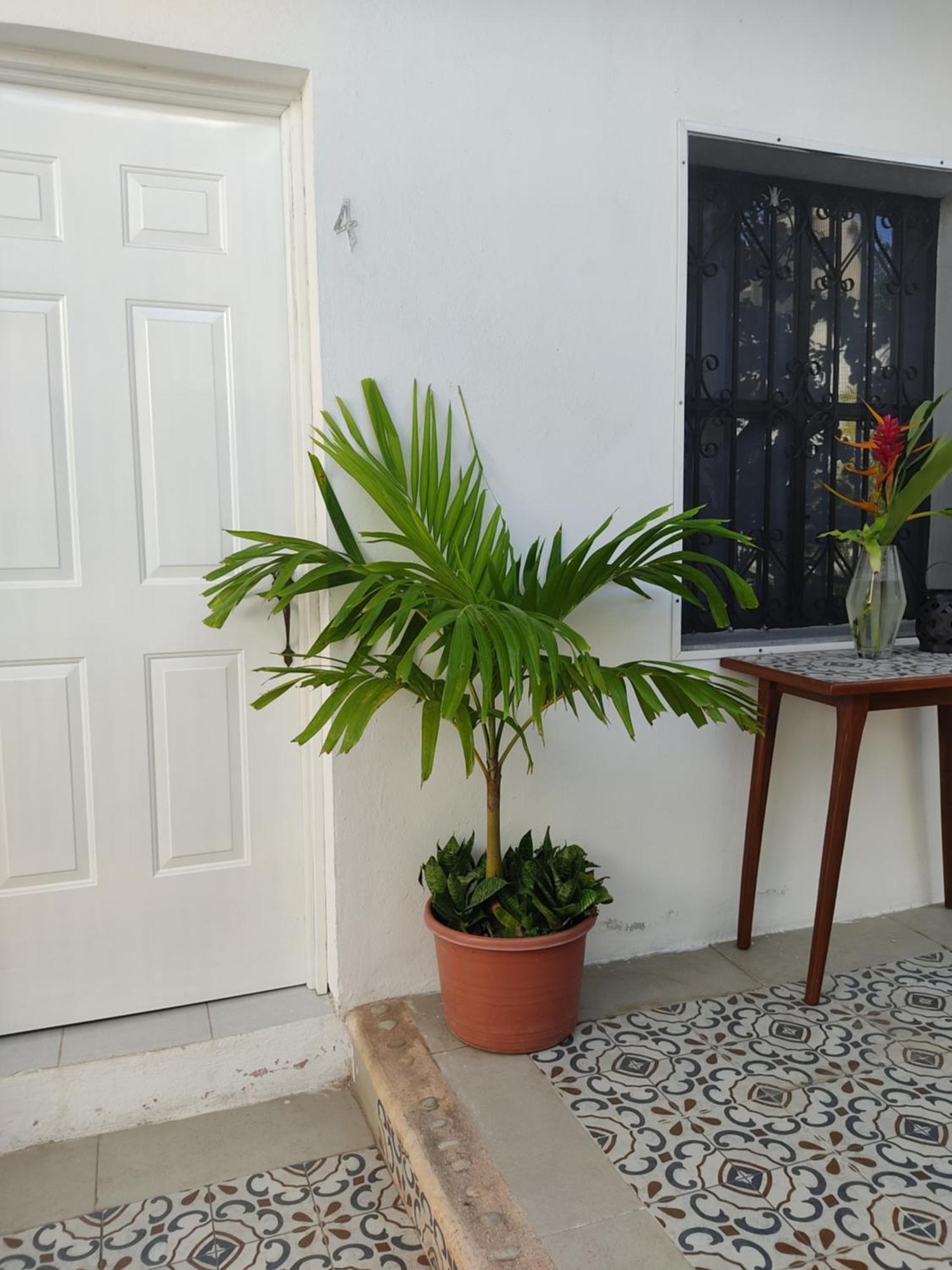 Casa Mercedes Βαγιαδολίδ Δωμάτιο φωτογραφία